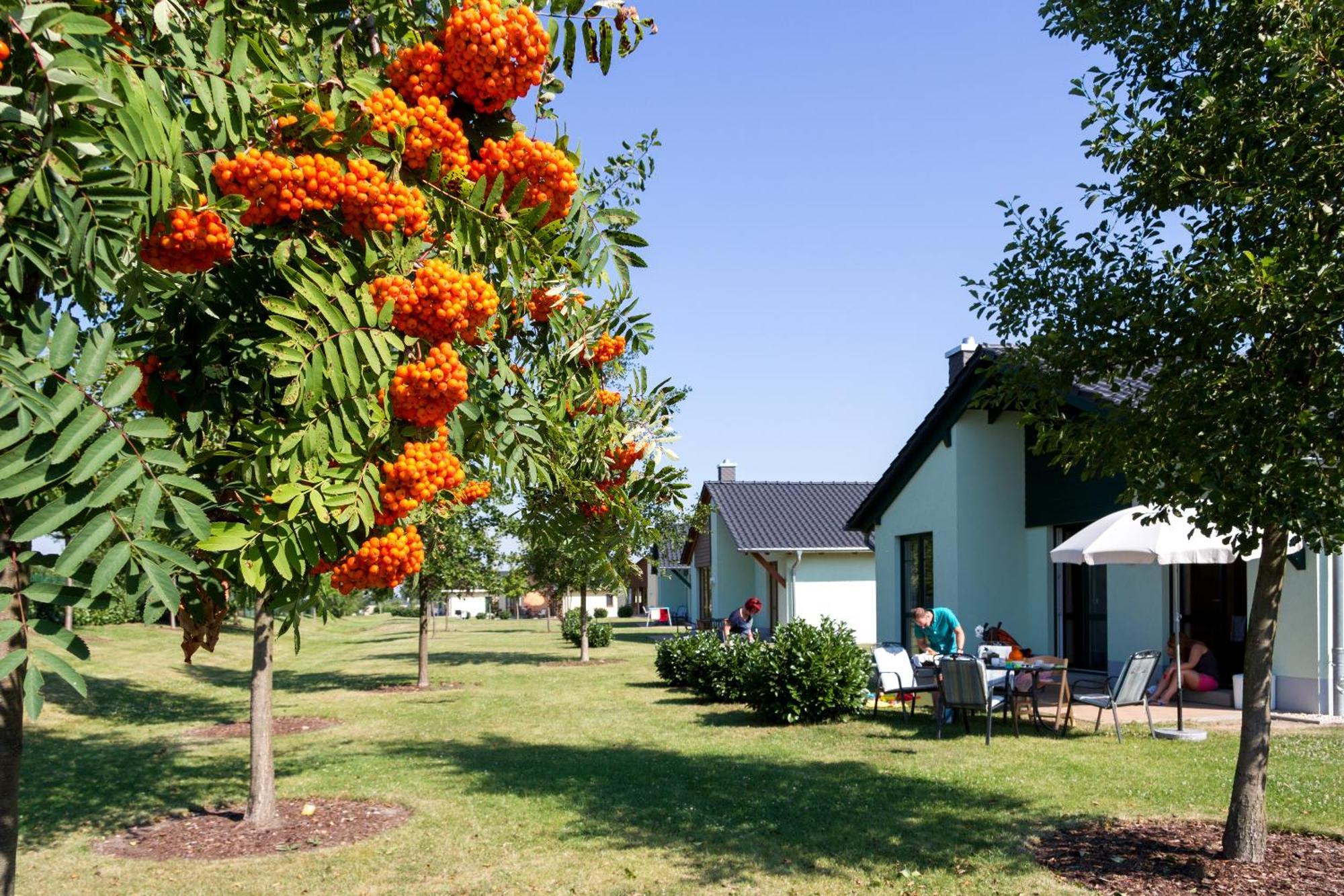 Seepark Auenhain Markkleeberg Phòng bức ảnh